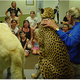 Illustration for article titled Record-Setting Cheetah Passes Away at Cincinnati Zoo